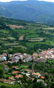 Rodez